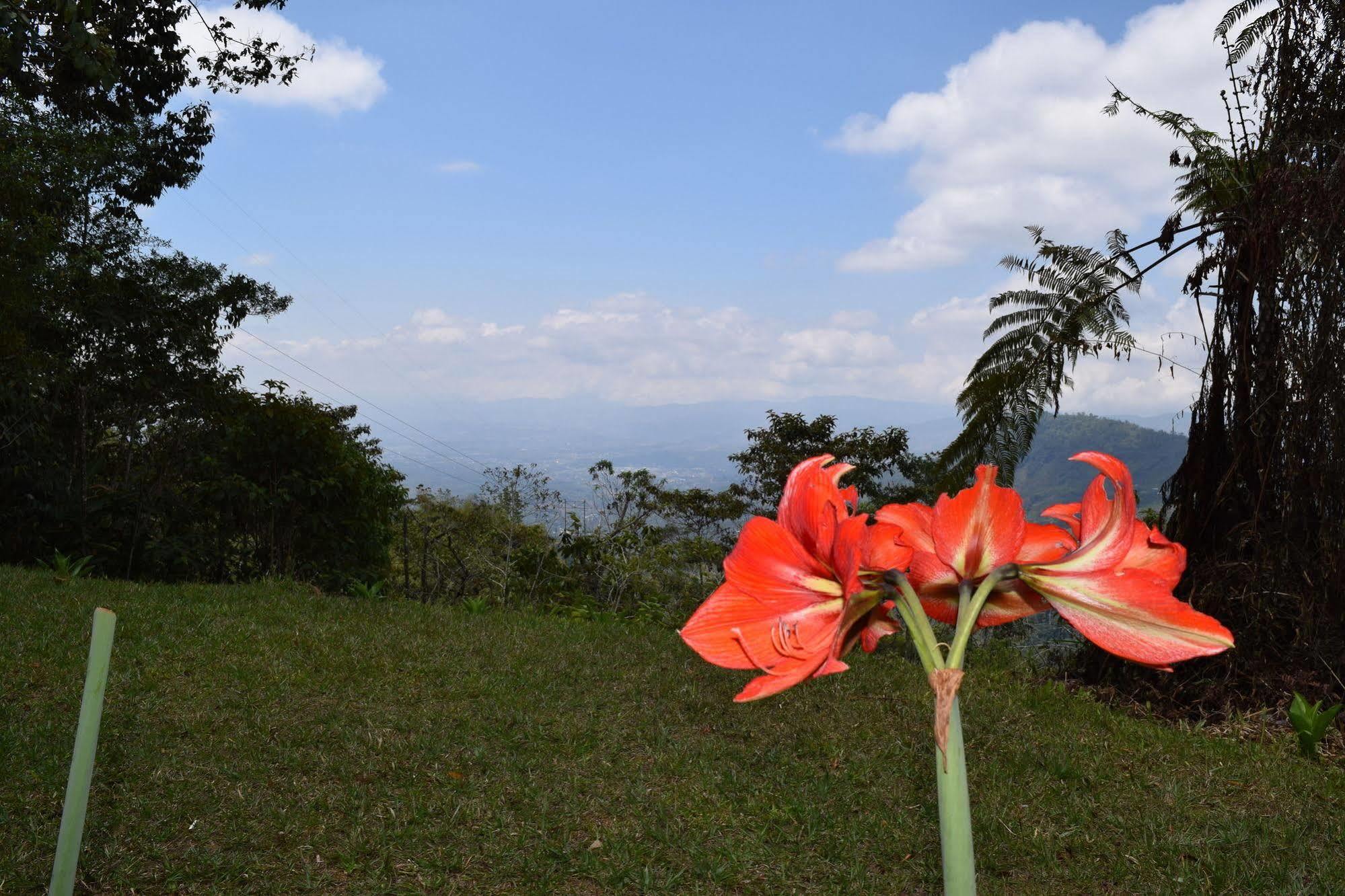 Mirador Valle Del General La Ese Екстер'єр фото